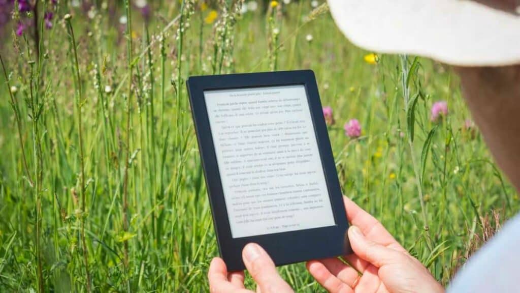 ebook writing services