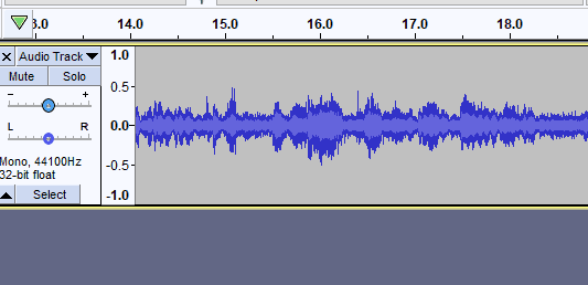 wave form on audacity