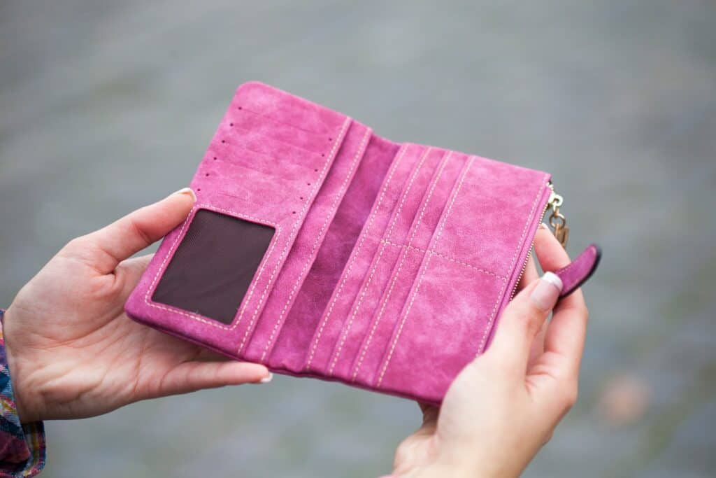 Person Holding Pink Suede Long Wallet